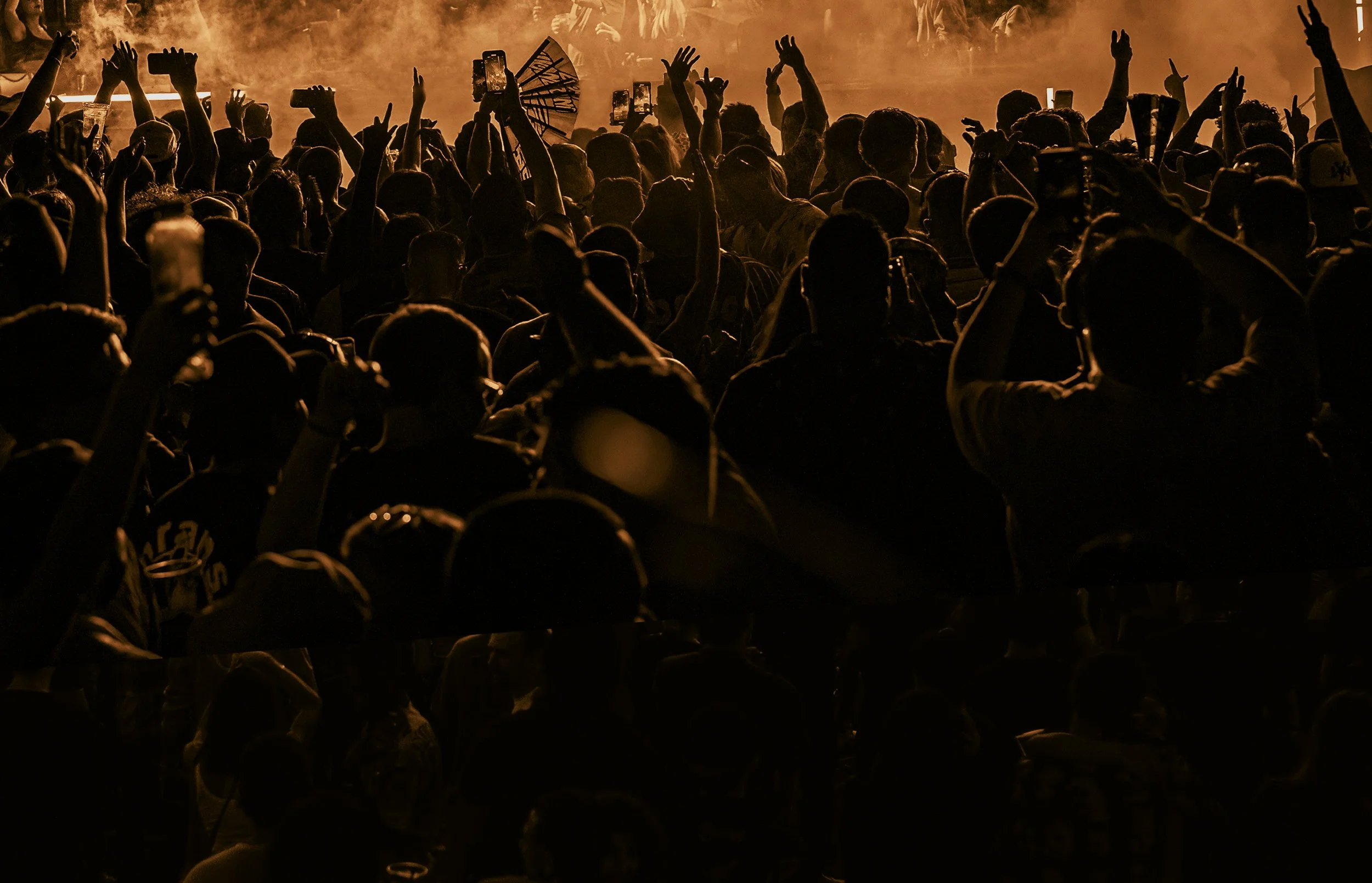 Safra party atmosphere with vibrant lights and dancing silhouettes